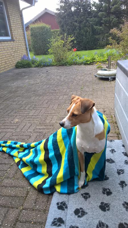 WP 20160503 10 51 56 Pro