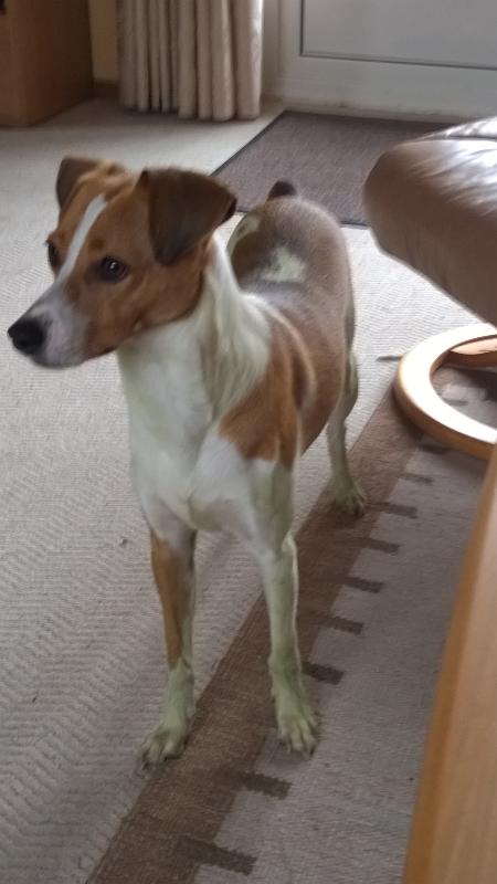 WP 20141023 11 24 01 Pro