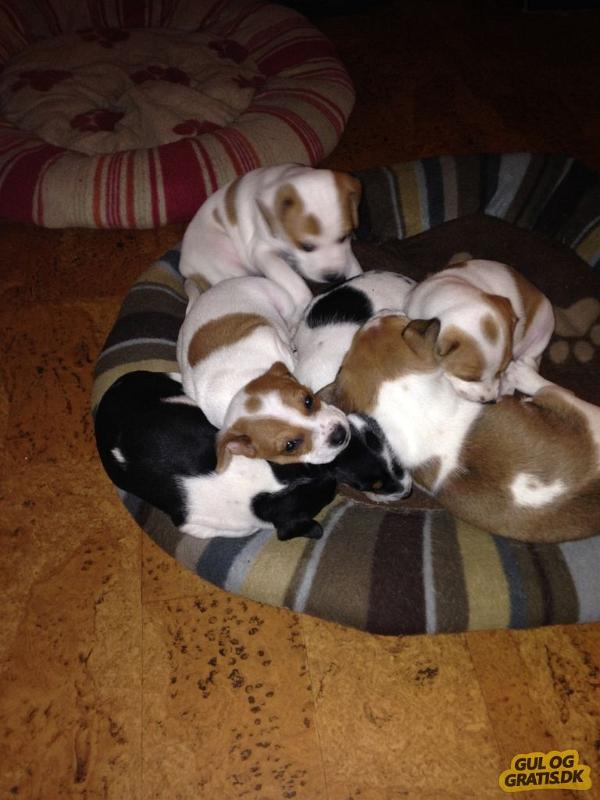 94004637 906 1024 0 0 0 0 6